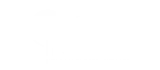 nelson logo white