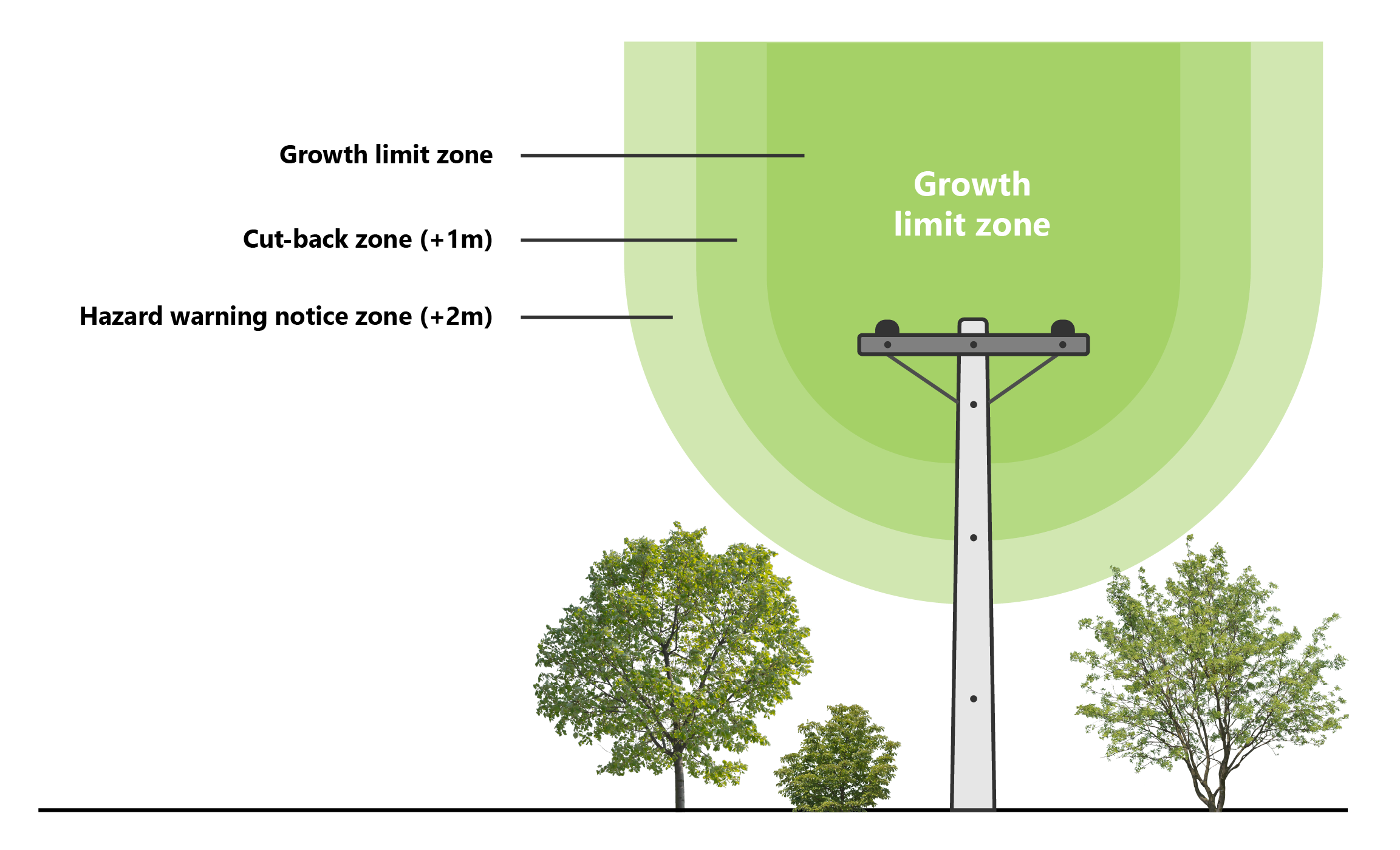 Tree regulation graphic  Growth limit zone cropped