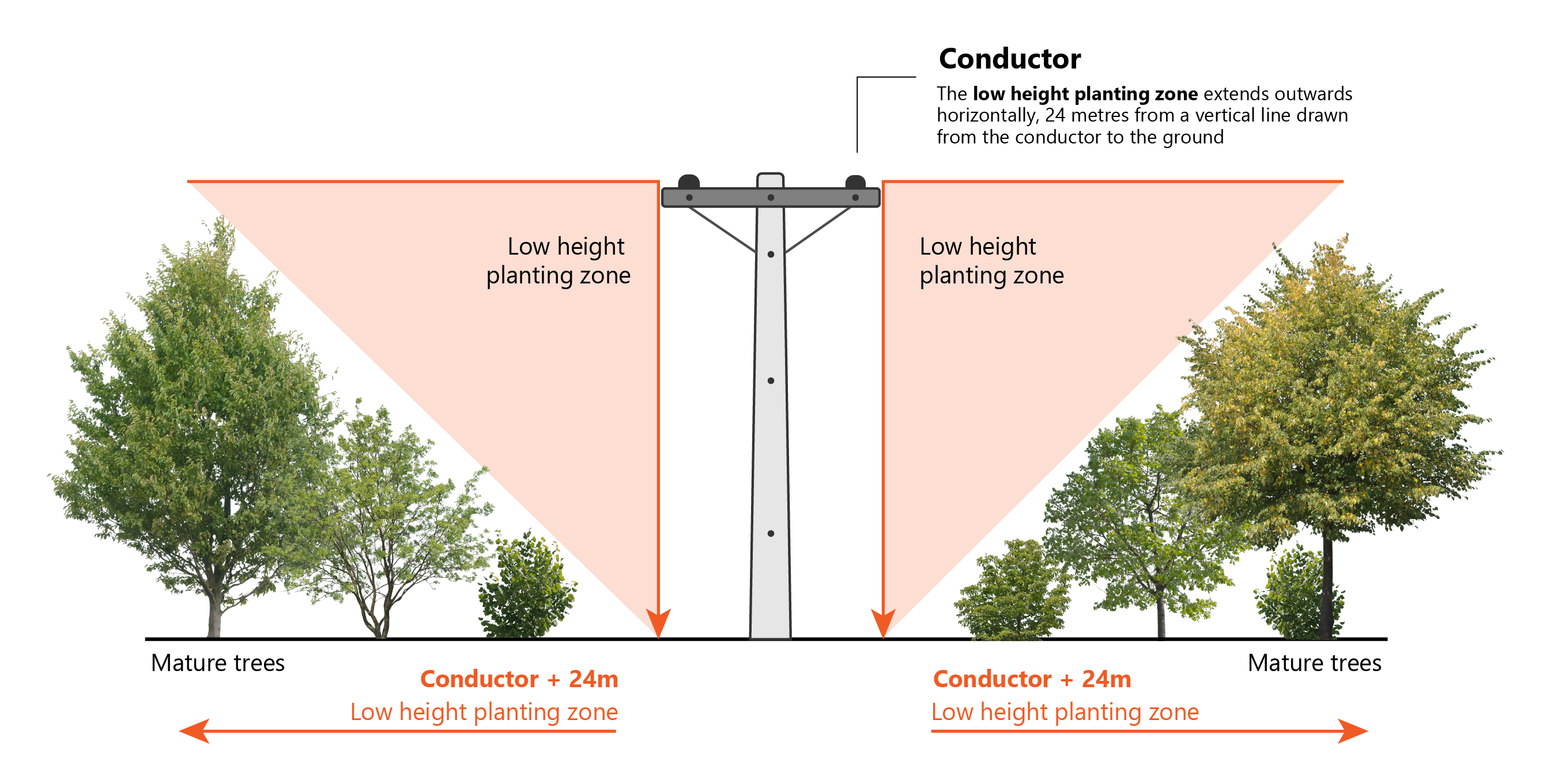 Tree regulation graphic Low height planting zone cropped