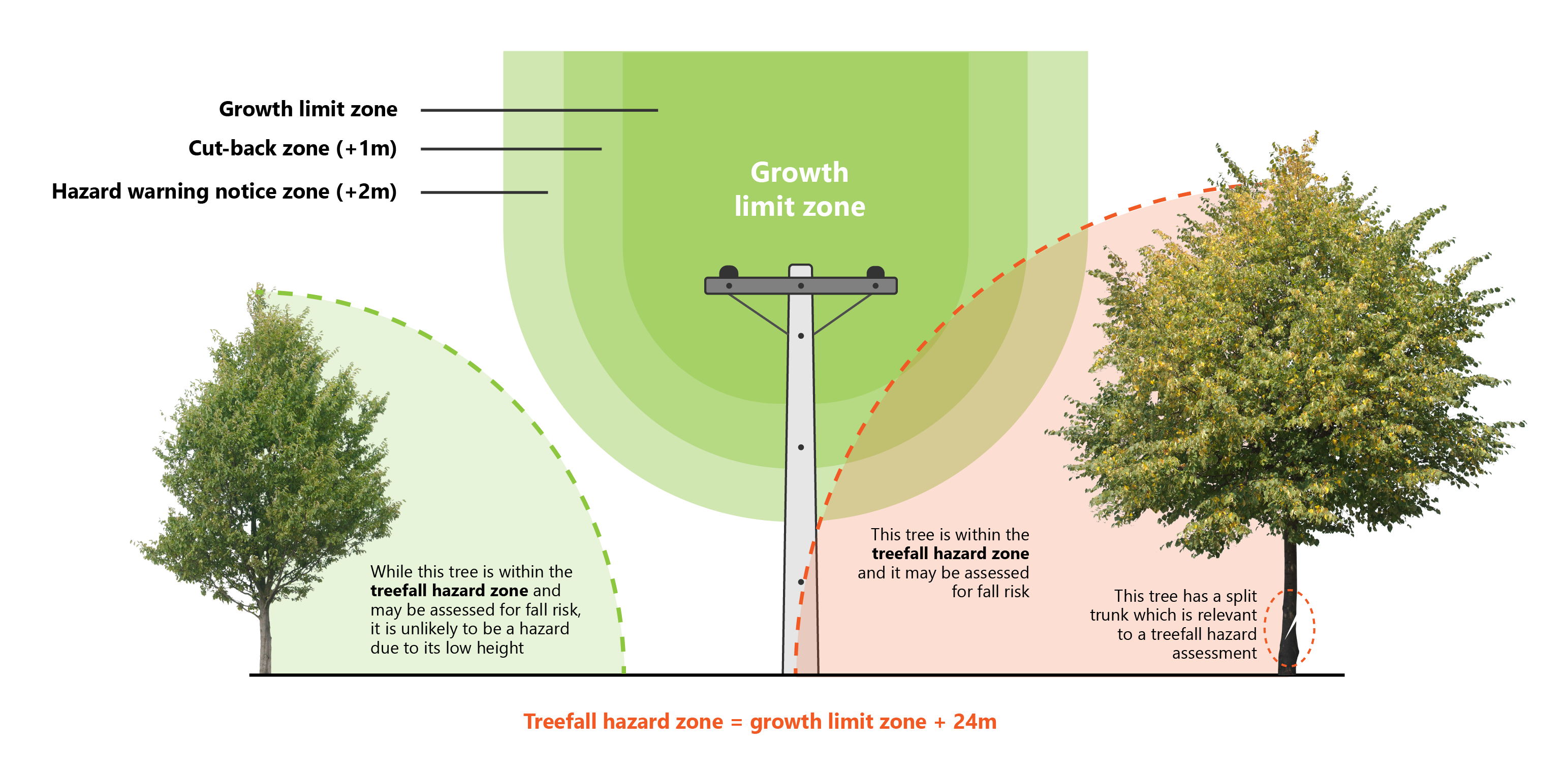 Tree regulation graphic Treefall hazard zone cropped