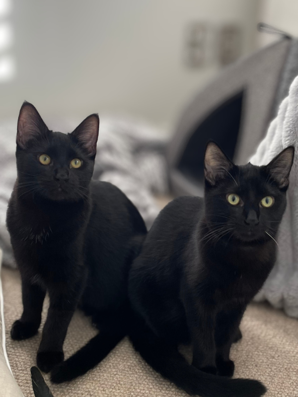 Missy and April for web
