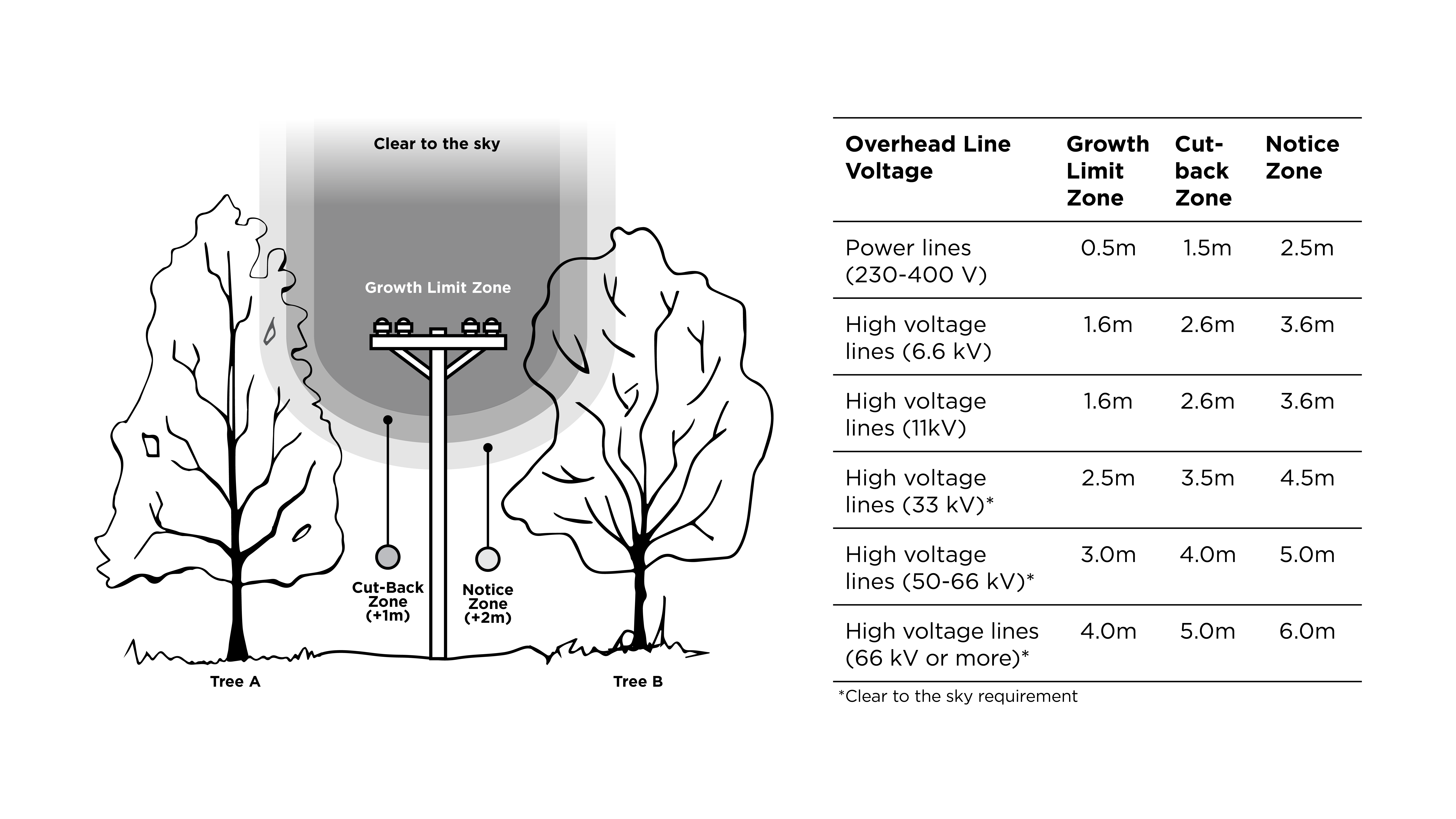 2024 Tree Diagram & Table